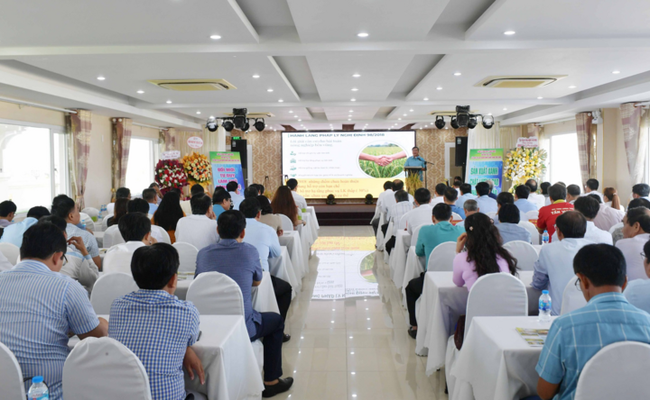 Hội thảo thu hút đông đảo đại biểu tham gia, tập trung thảo luận về liên kết sản xuất, tiêu thụ lúa gạo.
