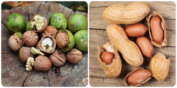 Bổ sung hạt thường xuyên rất tốt cho sức khỏe