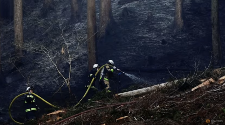 Lĩnh cứu hỏa nỗ lực dập tắt đám cháy rừng ở thị trấn Otsuchi, Nhật Bản. (Ảnh: Reuters)
