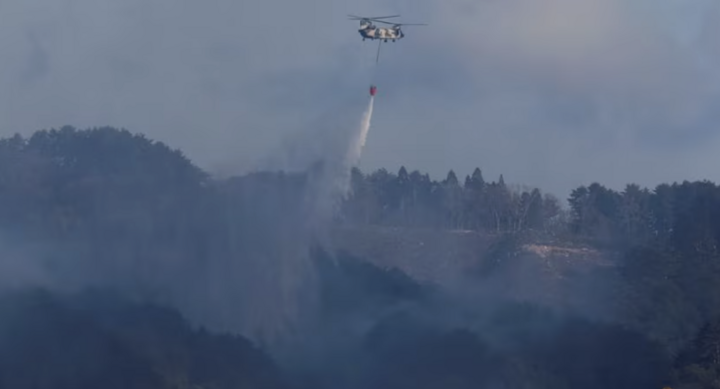 Trực thăng của Lực lượng Phòng vệ Nhật Bản thả nước chữa cháy. (Ảnh: Reuters)