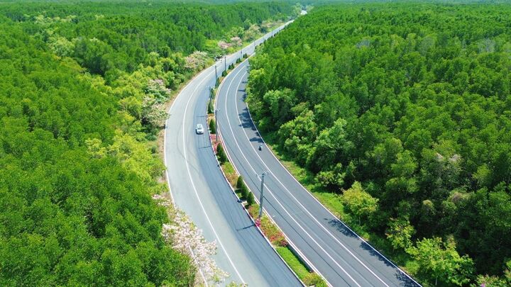 Sắc xanh phủ kín cung đường chạy VnExpress Marathon Green Paradise Cần Giờ 2026.