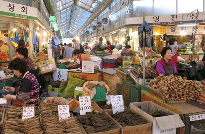 Sâm tươi trên thị trường có thể rất đa dạng về hình thức, nhưng người mua phổ thông khó kiểm chứng chính xác tuổi sâm nếu chỉ dựa vào cảm quan.