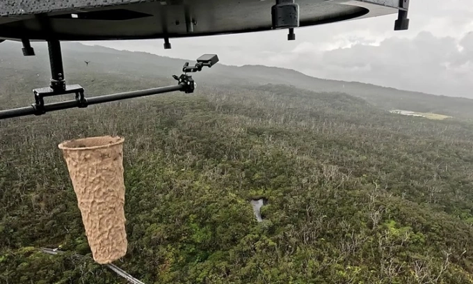 Drone thả muỗi tại Hawaii. (Ảnh: Adam Knox)