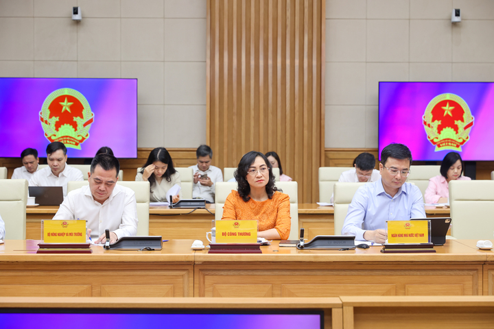 Các đại biểu tham dự cuộc làm việc.