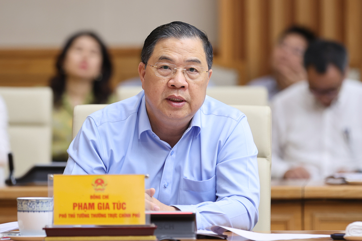 Phó Thủ tướng Thường trực Chính phủ Phạm Gia Túc phát biểu.