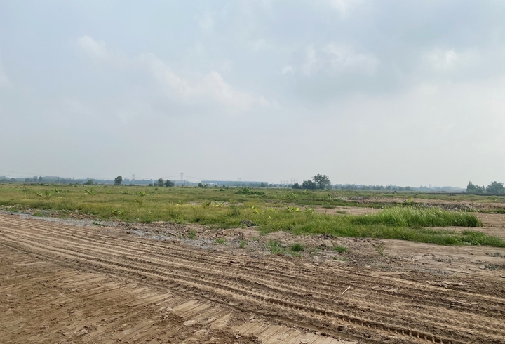 Tương lai, khu đất này sẽ là nơi sinh sống, học tập của hàng ngàn sinh viên, giảng viên và các trí thức cao cấp. (Ảnh: Đại Việt)