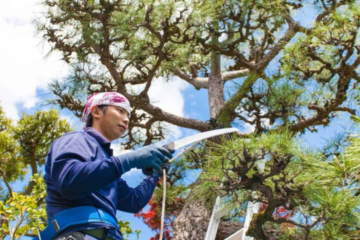 Cây không chăm sóc cũng là sự lãng phí không gian. (Ảnh: iStock)