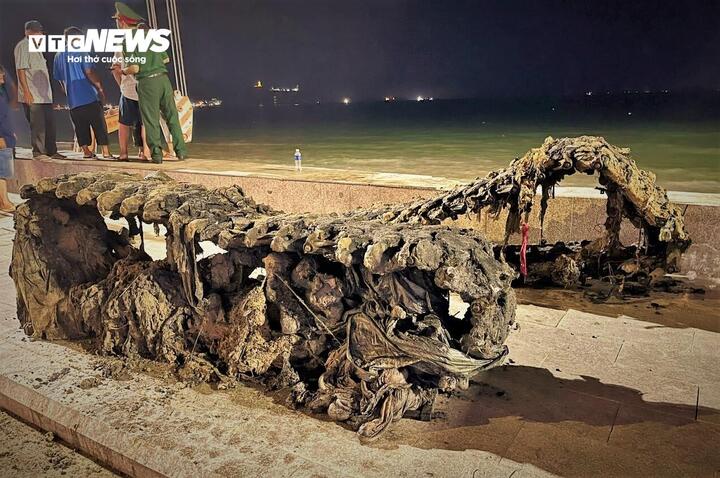 Hai bánh xích của xe được đưa lên bờ.