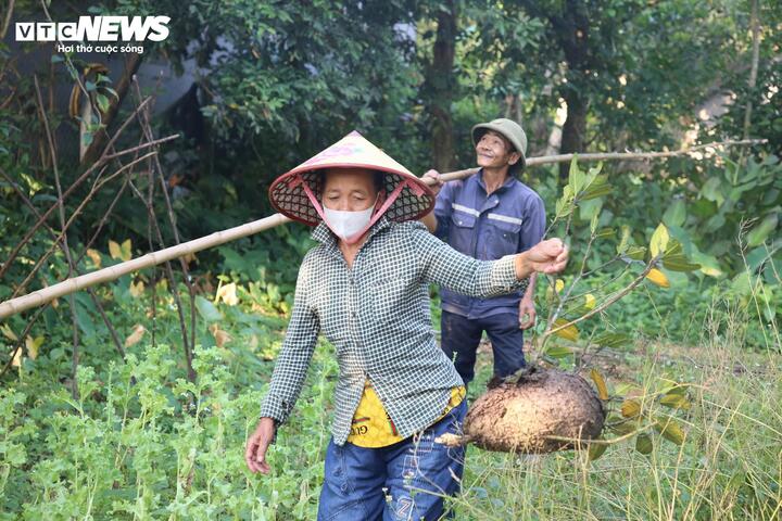 Cứ mỗi dịp đầu hè, cánh rừng ở vùng cao huyện Minh Hoá cũ (tỉnh Quảng Trị) bây giờ là các xã Minh Hóa, Kim Phú, Kim Điền, Dân Hóa và Tân Thành trở nên rộn ràng, khi những "thợ rừng" bước vào mùa săn trứng kiến.
