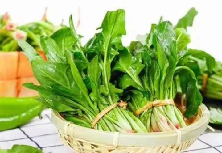 Cải bó xôi lá nhọn.