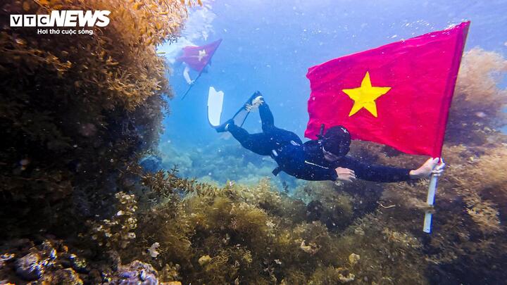 Giữa không gian mênh mông của vùng biển Gia Lai, giữa những rạn san hô sắc màu, lá cờ đỏ sao vàng hiện ra thiêng liêng, rực rỡ, "tung bay" theo từng nhịp sóng.