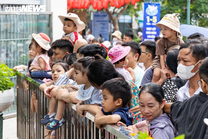 Nhiều em nhỏ không giấu được sự thích thú, chăm chú ngước nhìn các con vật.