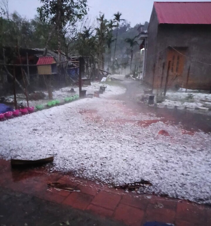 Mưa đá trắng sân tại xã Yên Trạch, Thái Nguyên.