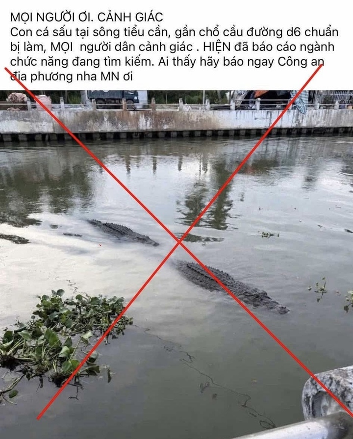 Hình ảnh cá sấu xuất hiện tại Vĩnh Long do AI tạo nên.