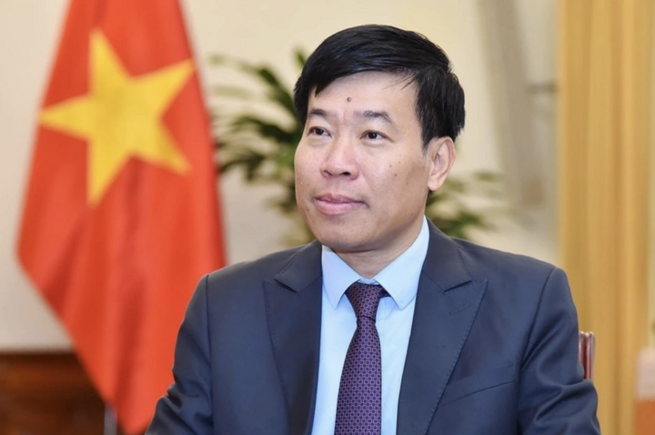 Thứ trưởng Bộ Ngoại giao Nguyễn Mạnh Cường.