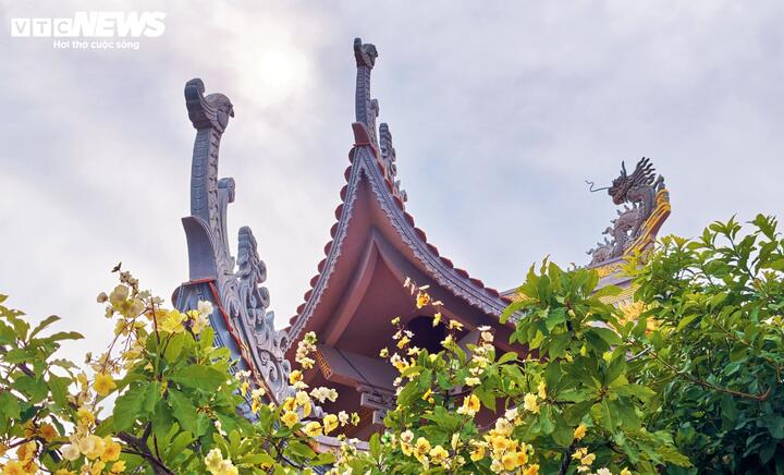 Kỳ bí 12 dòng cổ tự phía sau tượng Phật Lồi trong ngôi chùa ở Gia Lai - 7