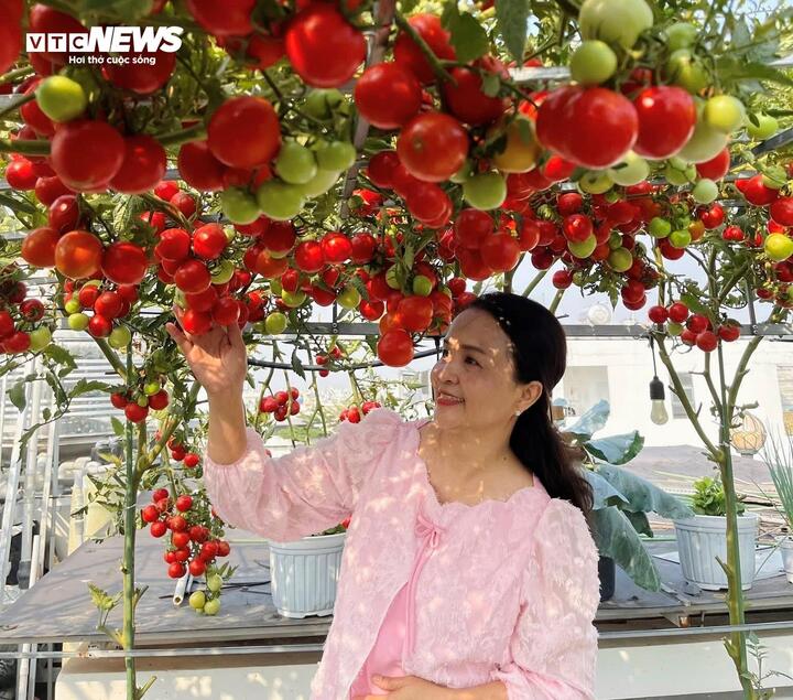 Toàn bộ khu vườn sử dụng phân bón hữu cơ do chị tự tay chuẩn bị. Hỗn hợp chuối, đậu nành và cá được ủ trong thùng lớn, kết hợp với phân chim yến và phân dơi, tạo nguồn dinh dưỡng tự nhiên giúp cây phát triển khỏe mạnh, cho trái sạch và an toàn.