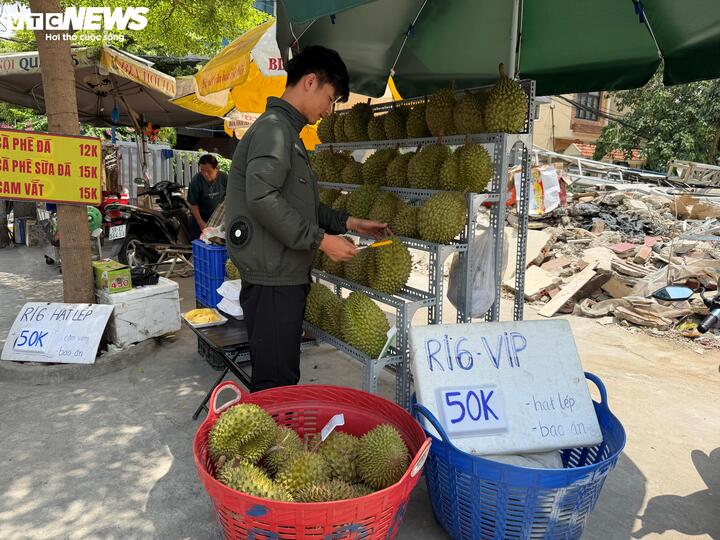 Anh Sơn cho biết giá sầu riêng năm nay thấp chưa từng có, song lượng khách mua lại giảm hơn so với mọi năm.