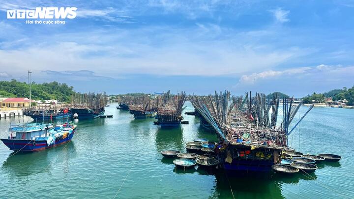 Những ngày đầu tháng 5, cảng cá Tam Quang (xã Núi Thành, TP Đà Nẵng) tràn ngập bầu không khí rộn ràng với hàng trăm lượt tàu thuyền nối đuôi nhau cập bến, mang theo đầy ắp "lộc biển" từ ngư trường Trường Sa. Đặc biệt, nhiều tàu trở về bờ với khoang đầy mực xà.