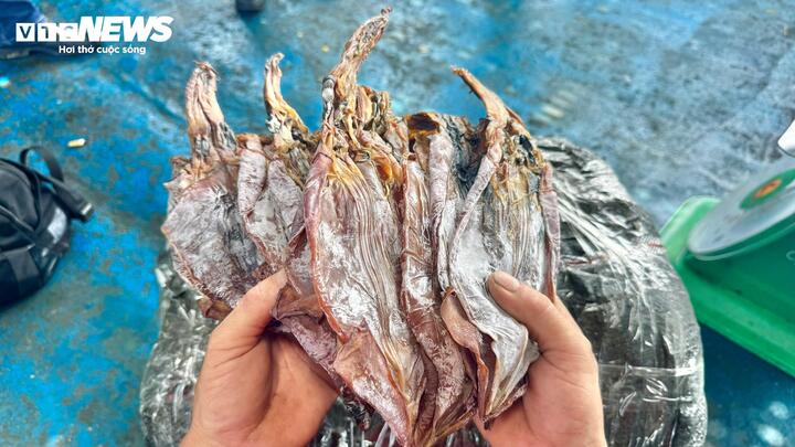 "Những năm trước giá mực chỉ dao động trong khoảng 120.000 – 150.000 đồng/kg. Thời điểm hiện tại, giá mực ở mức kỷ lục nên anh em thuyền viên ai cũng phấn khởi. Mấy tháng nay, thời tiết ngoài khơi thuận lợi nên việc đánh bắt cũng đạt hiệu quả hơn" - ông Tiếng nói.