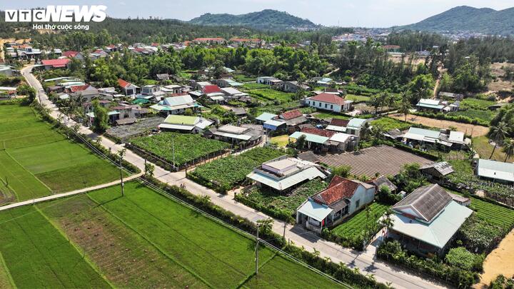 Những năm gần đây, các vườn bí đao khổng lồ đang trở thành điểm du lịch cộng đồng thu hút đông đảo khách du lịch đến check in, tham quan. Dù vất vả và đòi hỏi kỹ thuật cao, người dân Chánh Trạch vẫn quyết tâm bám trụ với cây bí không chỉ là sinh kế mà còn là niềm tự hào của tổ tiên để lại.