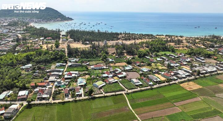 Nằm cạnh giữa những cồn cát trắng và gió biển của xã Phù Mỹ Đông, tỉnh Gia Lai, làng Chánh Trạch từ lâu đã nổi danh khắp cả nước bởi một loại nông sản "độc nhất vô nhị" - bí đao khổng lồ.
