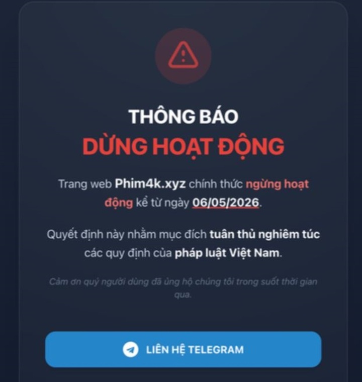 Chuyên gia an ninh mạng: Web phim lậu khó xử lý, gỡ 10 trang 'mọc' thêm 100 - 3