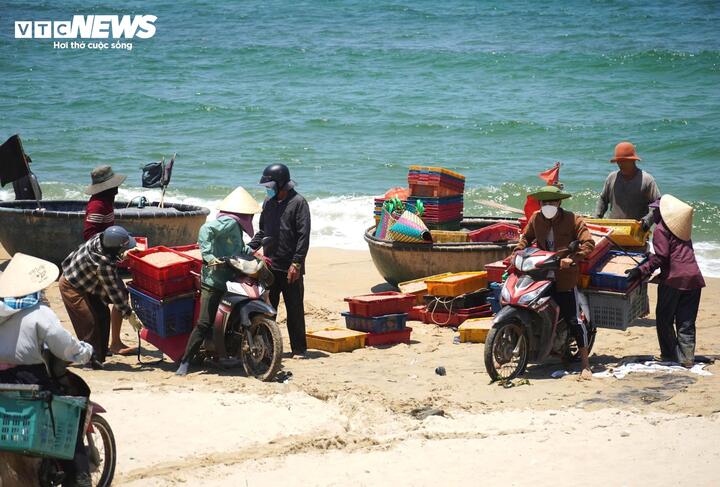 Những ngày gần đây, từ sáng sớm cho đến xế trưa, tại khu vực ven bờ thuộc xã bãi ngang Duy Nghĩa, TP Đà Nẵng, tràn ngập bầu không khí tất bật của cảnh mua bán ruốc biển.