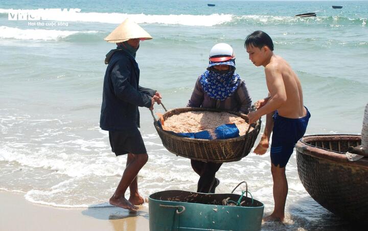 Với người dân vùng biển Duy Nghĩa, mùa ruốc không chỉ mang lại giá trị kinh tế mà còn tiếp thêm niềm tin và hy vọng vào một năm mưu sinh thuận lợi hơn trên ngư trường quê hương.
