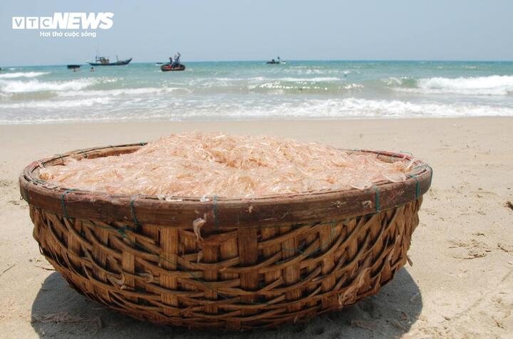 Theo ngư dân địa phương, mùa ruốc thường bắt đầu từ đầu tháng 2 Âm lịch và chỉ kéo dài khoảng 3 tháng. Hiện tại, bà con đang bước vào cuối vụ khai thác.