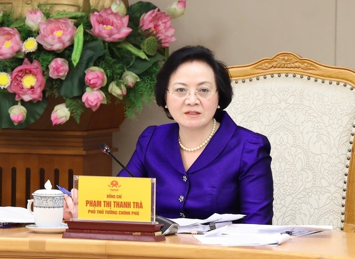 Phó Thủ tướng Phạm Thị Thanh Trà, Trưởng Ban Chỉ đạo quốc gia về tìm kiếm, quy tập và xác định danh tính hài cốt liệt sĩ phát biểu tại buổi làm việc. (Ảnh: VGP)