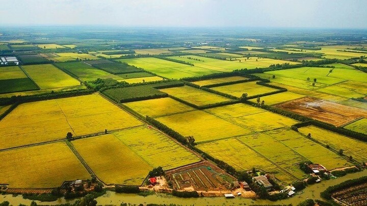 Có tình trạng nhiều người gom đất nông nghiệp chờ quy hoạch để được đền bù. (Ảnh minh họa)