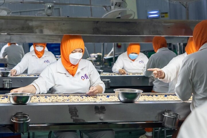 ofi là một trong những nhà xuất khẩu hạt điều và hồ tiêu hàng đầu tại Việt Nam trong 3 năm liên tiếp.
