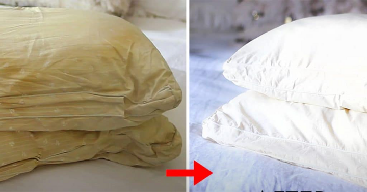 Chỉ cần vài thao tác làm sạch đơn giản, ruột gối sẽ trắng sáng như mới. (Ảnh: DIY Joy)