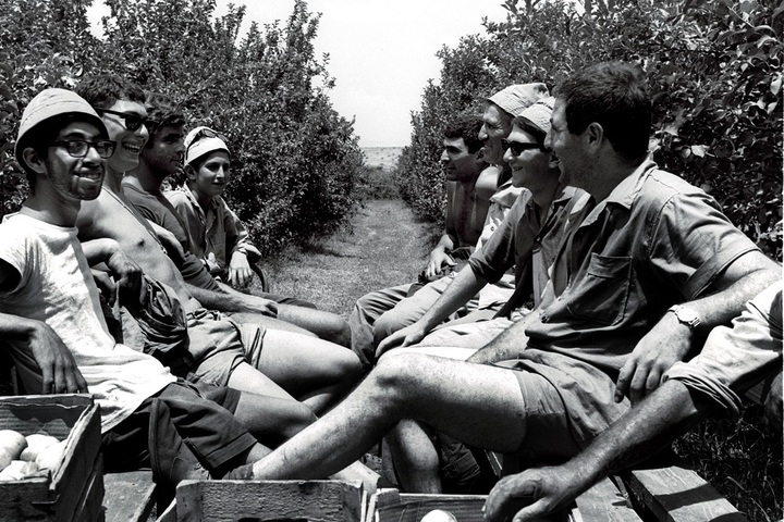 Phong trào Kibbutz và lối sống xã hội chủ nghĩa thu hút nhiều người Israel. Qua nhiều thập kỷ, phương tiện sinh kế của các kibbutz Israel chuyển từ nông nghiệp sang công nghệ cao. (Ảnh: Reuters)