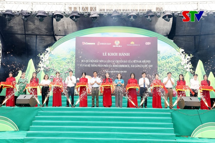 Nghi thức khai mạc Lễ xuất hành mận hậu Sơn La đến hệt hống phân phối Saigon Co.op.