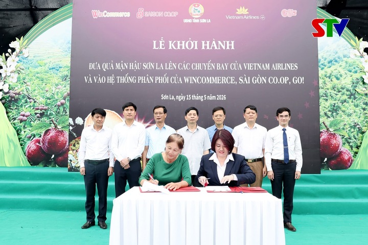 Đại diện Saigon Co.op với Hợp tác xã Kiên Cường cam kết tiêu thụ mận hậu Sơn La vào hệ thống Saigon Co.op.