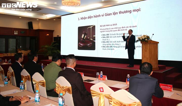 Chương trình tập huấn tập trung vào các giải pháp thực thi quyền sở hữu trí tuệ và bảo vệ thương hiệu doanh nghiệp Việt.