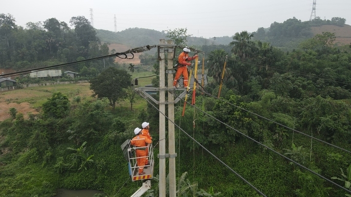 Sửa chữa, bảo dưỡng thiết bị trên đường dây trung áp, đảm bảo hệ thống vận hành ổn định, liên tục tại Lào Cai.