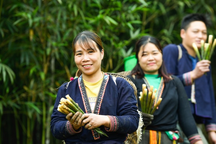 Chị Hương luôn trăn trở làm sao để người nông dân sống tốt nhờ măng. (Ảnh: GREAT)