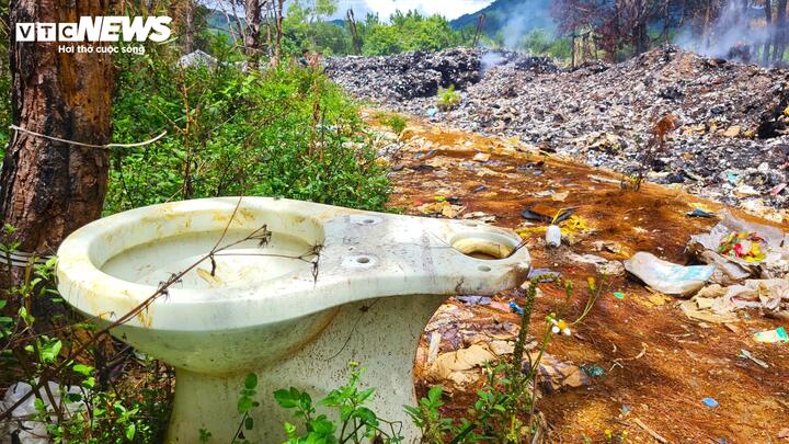 Nhiều loại rác thải sinh hoạt, nông nghiệp... vứt lung tung biến một khoảng rừng thông trở nên bẩn thỉu, ô nhiễm.