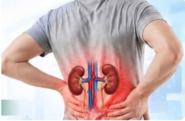 Bệnh thận đang ngày càng trẻ hóa. (Ảnh minh họa)