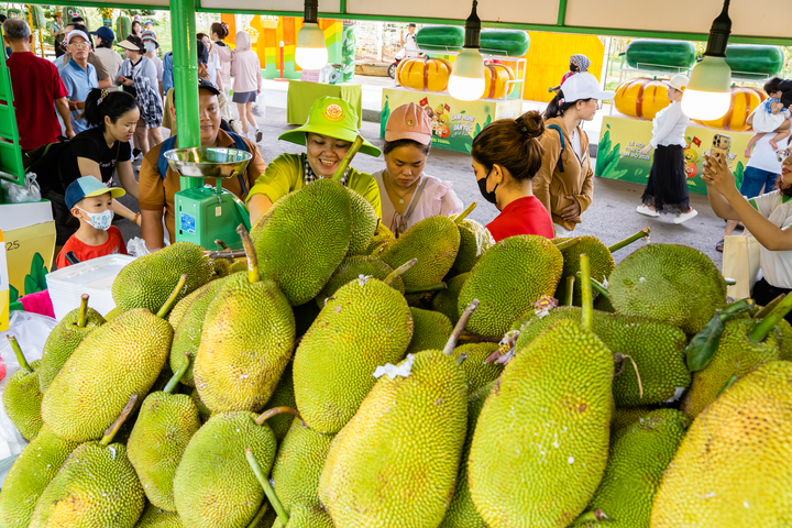 Không gian trái cây đặc sản quy tụ hàng trăm loại nông sản từ nhiều vùng miền thu hút đông đảo người dân TP.HCM dịp hè.