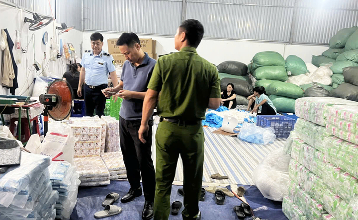 Đoàn liên ngành phát hiện lượng lớn miếng băng vệ sinh thành phẩm đạo nhái các nhãn hiệu như: “Kotex”, “Lisa”, "Diana", "Ánh Dương" và "Việt Thái", “Thạch Thảo”.