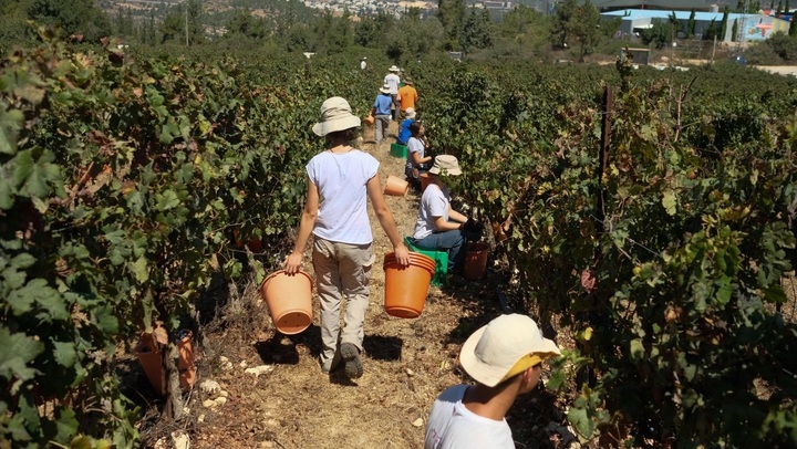 Thí điểm xây dựng xã phường XHCN: Hà Nội học được gì từ mô hình Kibbutz của Israel? 1684470369 f90tzuba 12572325 - Thí điểm xây dựng xã phường XHCN: Hà Nội học được gì từ mô hình Kibbutz của Israel?