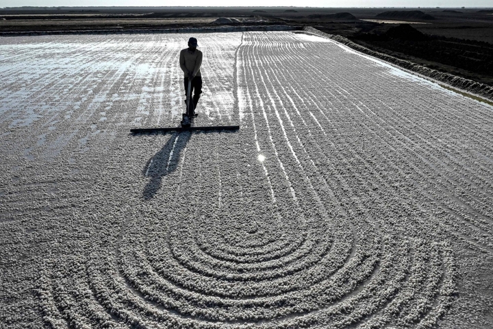 Công nhân cào muối tại vùng Little Rann of Kutch thuộc bang Gujarat, Ấn Độ. (Ảnh: AFP)