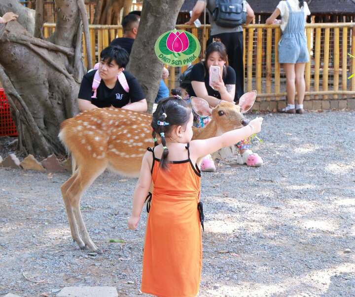 Công viên Văn hóa Đầm Sen có đa dạng các hoạt động để gia đình lựa chọn. (Ảnh: Công viên Văn hóa Đầm Sen)