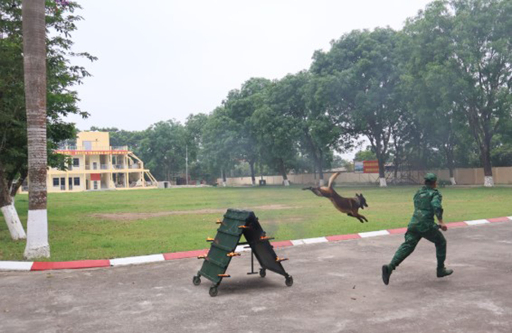 Sinh viên Báo chí 'mục sở thị' thao trường, ấn tượng kỷ luật thép của chiến sĩ Biên phòng - 1