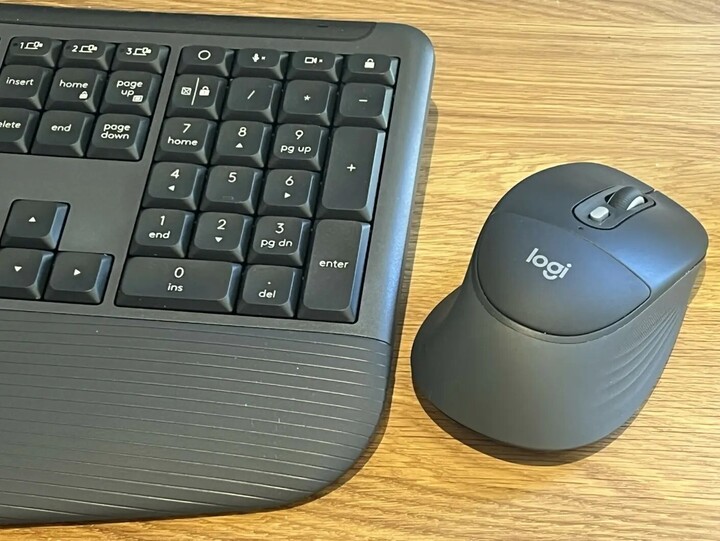 Chuột Logitech Signature Comfort Plus M850 L với phần đệm lòng bàn tay. (Nguồn: theregister)