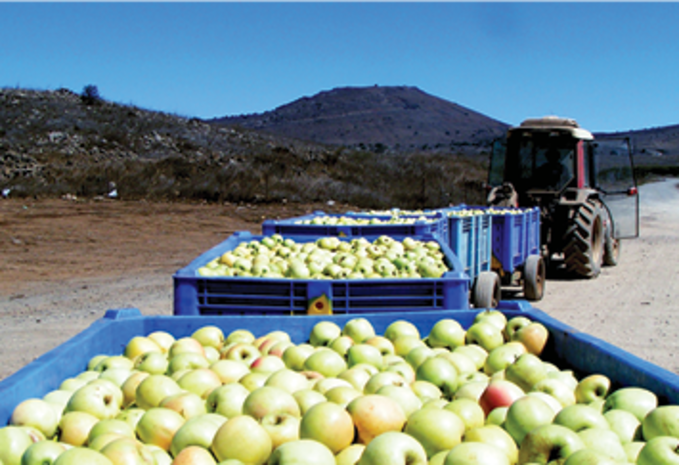Thí điểm xây dựng xã phường XHCN: Hà Nội học được gì từ mô hình Kibbutz của Israel? images1383534 k t ch kibbutz 3 a 1629103896 1 13164616 - Thí điểm xây dựng xã phường XHCN: Hà Nội học được gì từ mô hình Kibbutz của Israel?